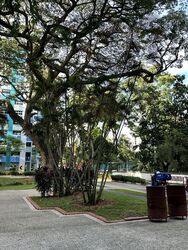 Telok Blangah Crescent (D4), Shop House #512947591